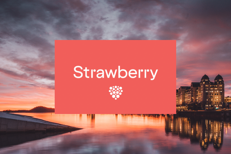 Case Study - Strawberry Hotels